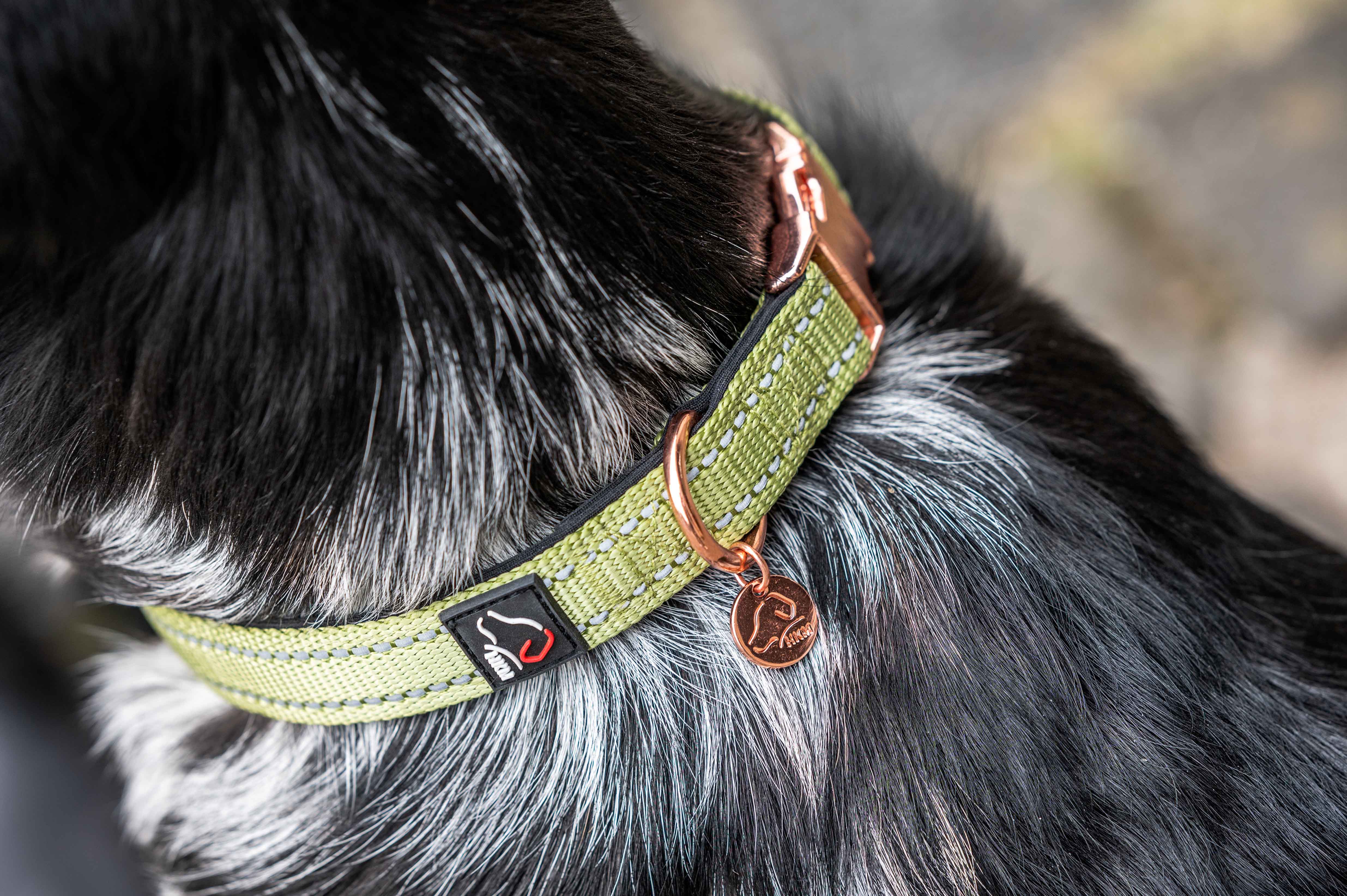Dog collar Ida nylon 5100 pistachio / XS/S