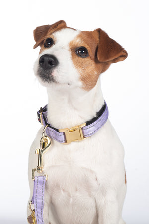 Dog collar -Ida- nylon 8156 lavender / M/L
