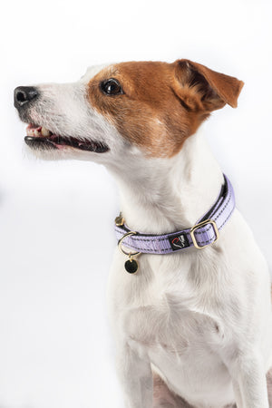 Dog collar -Ida- nylon 8156 lavender / M/L