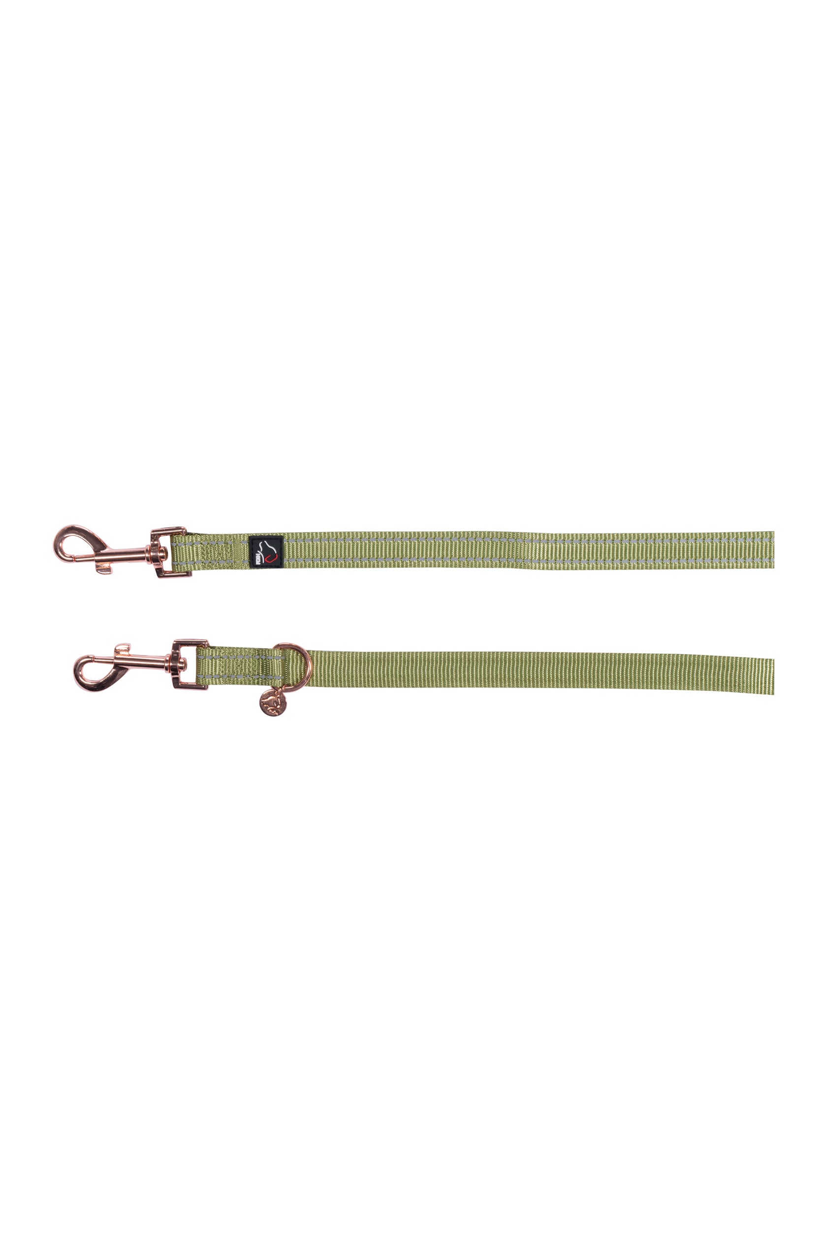 Dogs trainings leash -Qooper- nylon 5100 pistachio / L