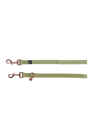 Dogs trainings leash -Qooper- nylon 5100 pistachio / L