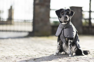 Dog coat Buddy with fleece lining 9300 deep grey / M
