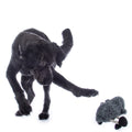 Dog toy Buddy Sheep 8212 grey/black / pcs.