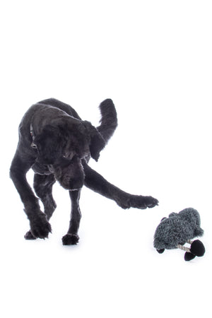 Dog toy Buddy Sheep 8212 grey/black / pcs.