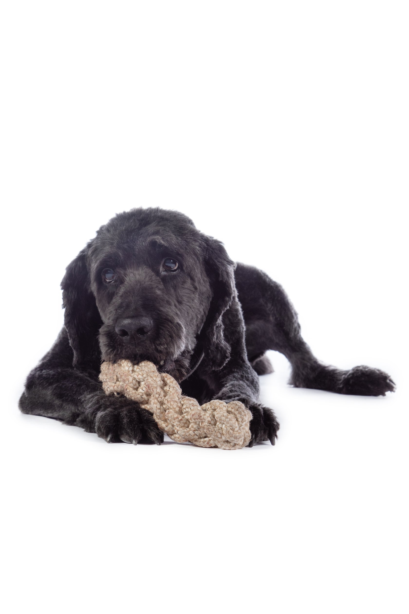 Dog toy -Buddy Knot Bone- 2300 nature / pcs.