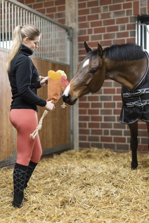 Toy for horses Ice cream 4200 orange / pcs.