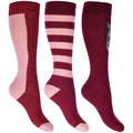 Kids riding socks Grenada set of 3 3831 rose/wine red / 30-34