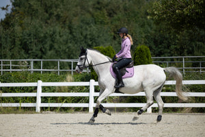 Saddle cloth Harbour Island Sportive 3700 light lilac / General purpose