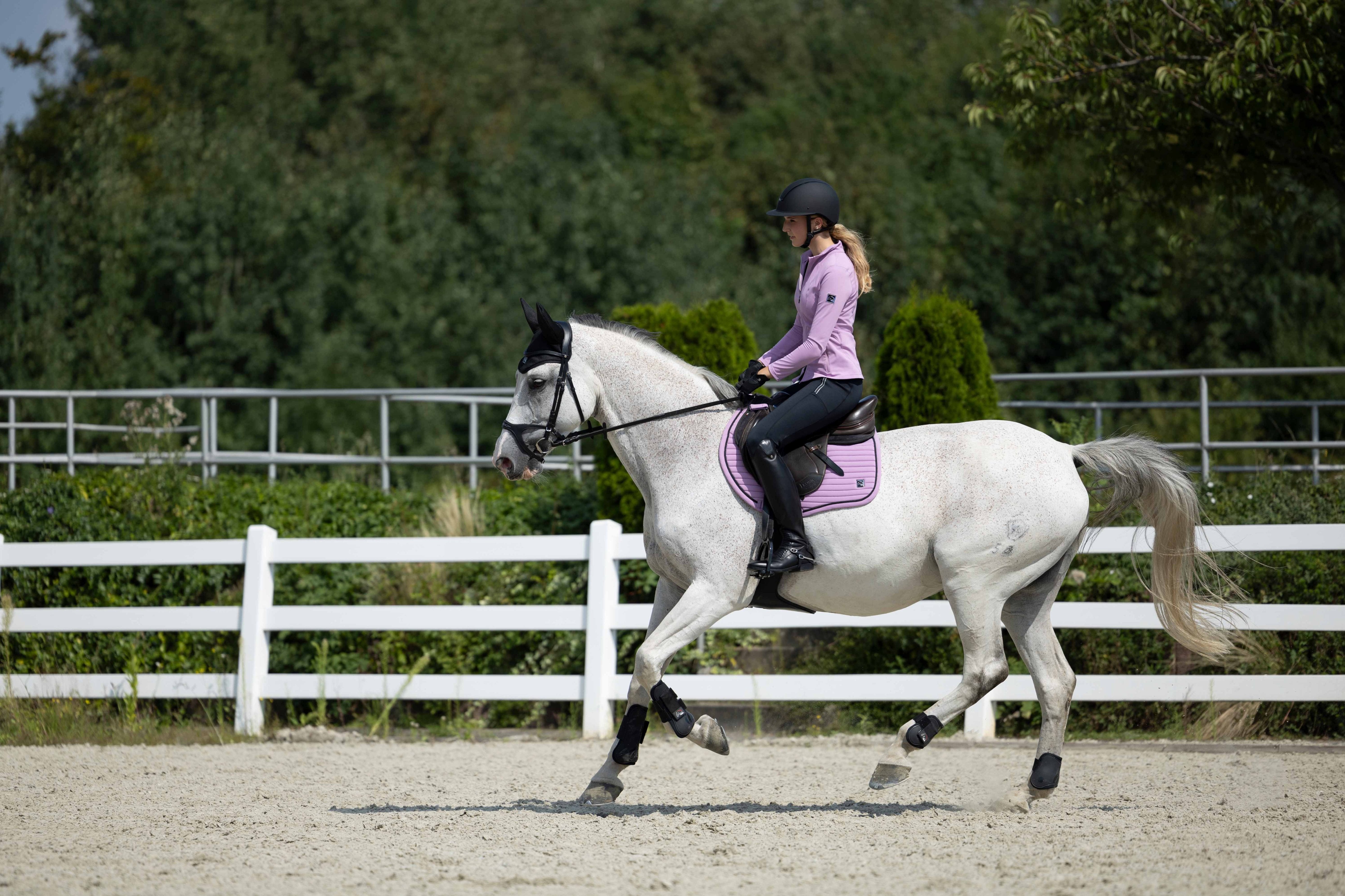 Saddle cloth Harbour Island Sportive 3700 light lilac / General purpose