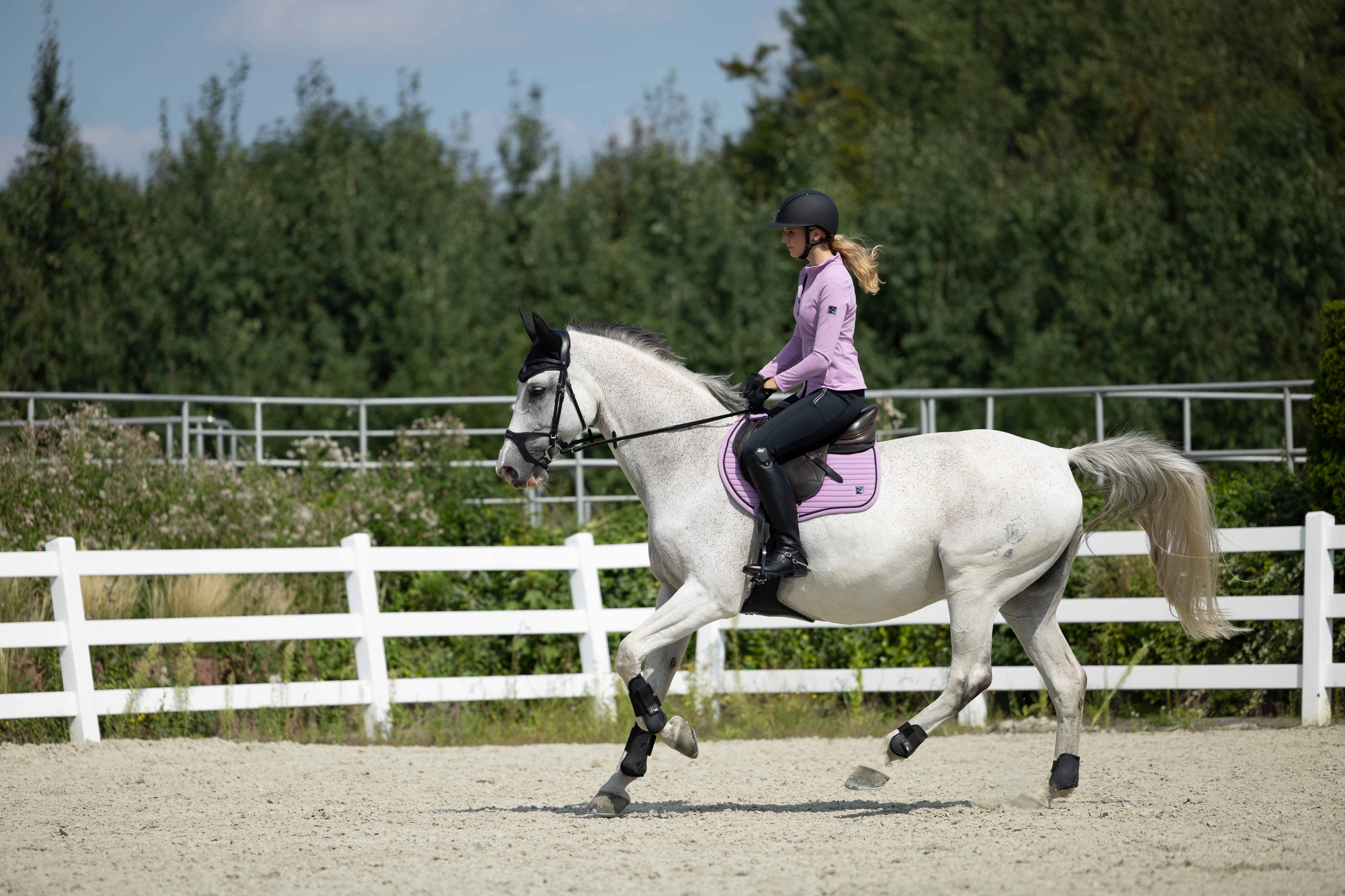 Saddle cloth Harbour Island Sportive 3700 light lilac / General purpose