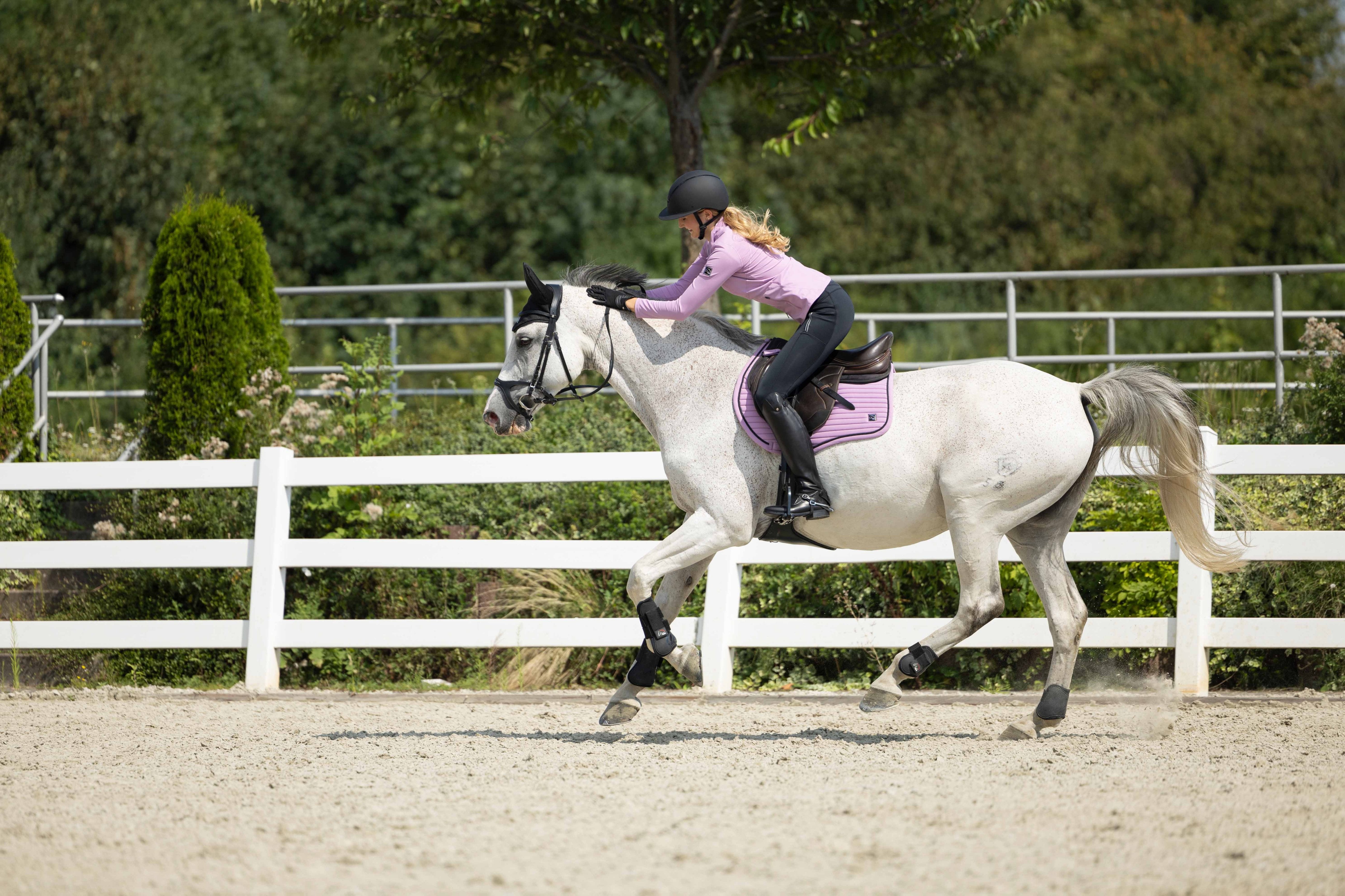 Saddle cloth Harbour Island Sportive 3700 light lilac / General purpose