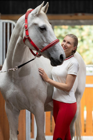 T-shirt -Aruba- 1900 cotton white / XXL