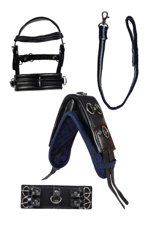 Lunge set -Cuddle Pony- 9100 black / pcs.