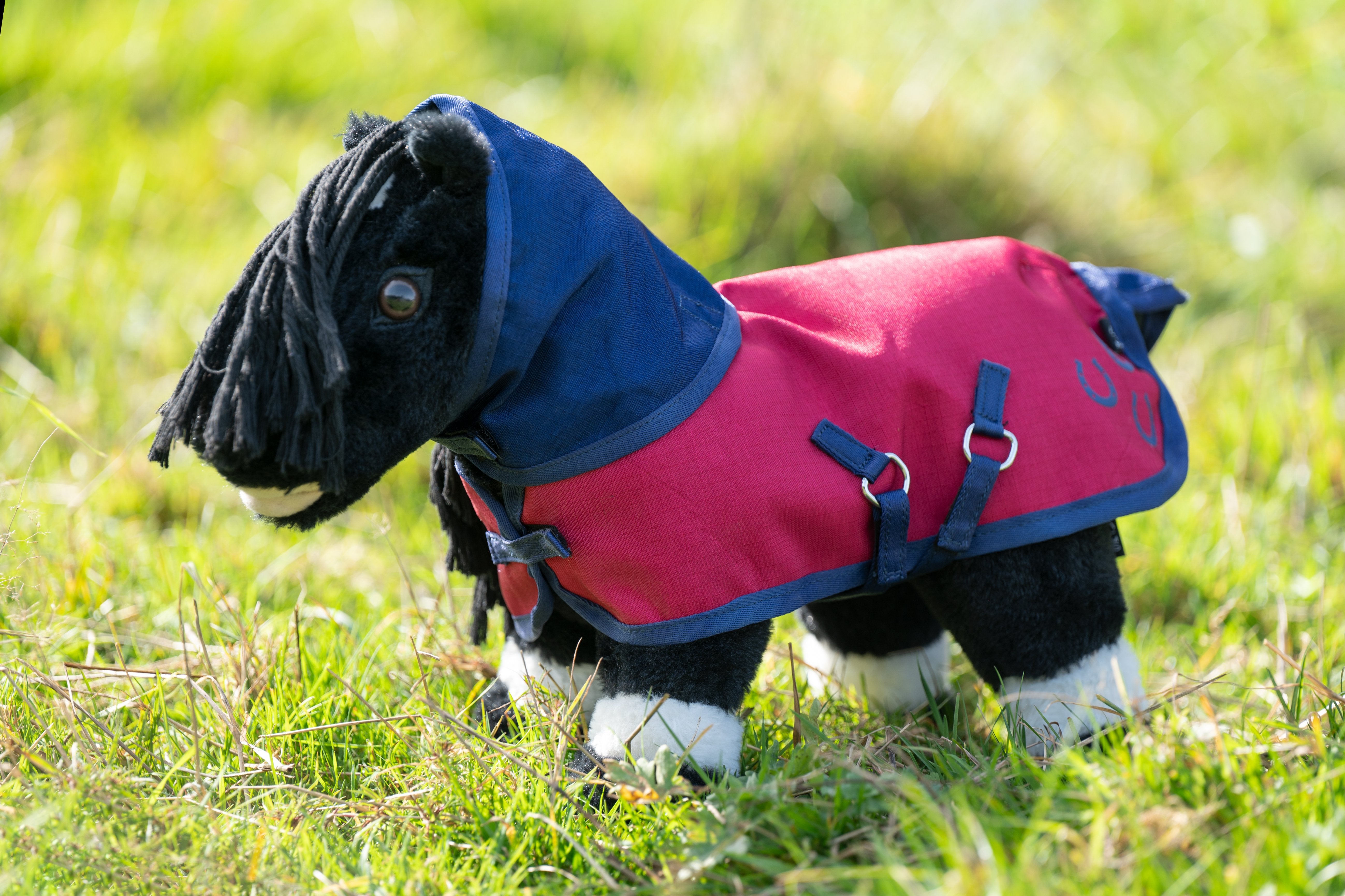 Turnout rug -Cuddle Pony- 6905 navy/pink / pcs.
