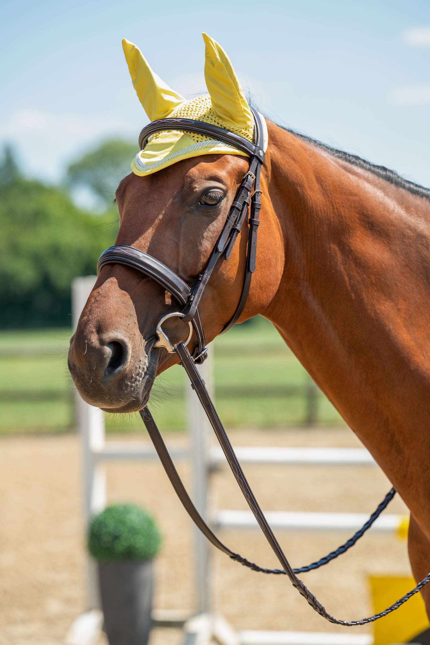 Ear bonnet -Essentials- 4305 light yellow / Full