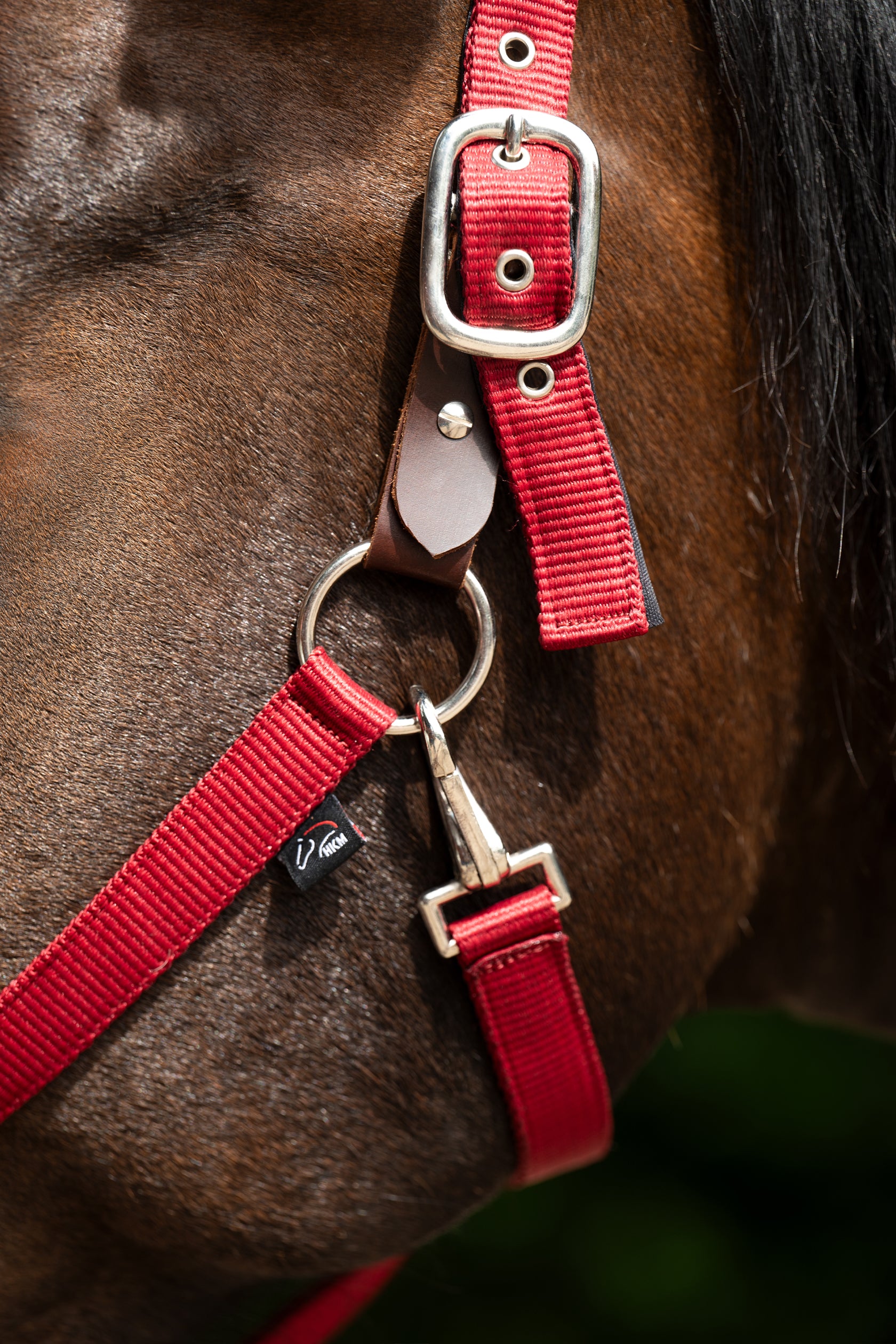 Head collar -Breakaway 2- 3000 red / Full