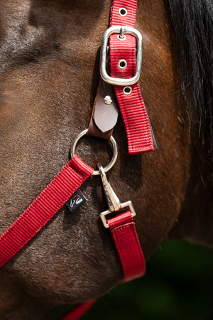 Head collar -Breakaway 2- 3000 red / Full