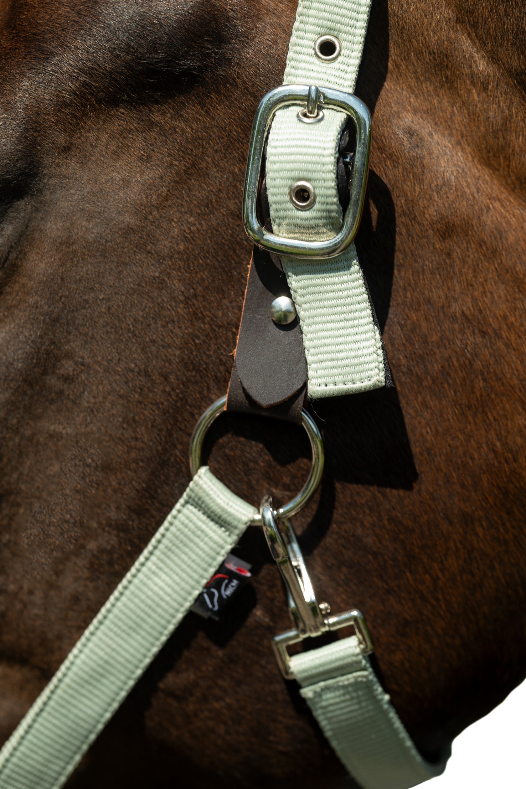 Head collar -Breakaway 2- 5814 jade green / Full