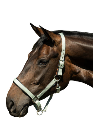 Head collar -Breakaway 2- 5814 jade green / Full