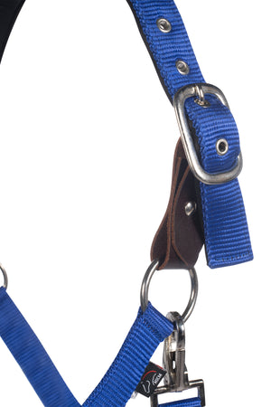 Head collar -Breakaway 2- 6801 royal blue / Full