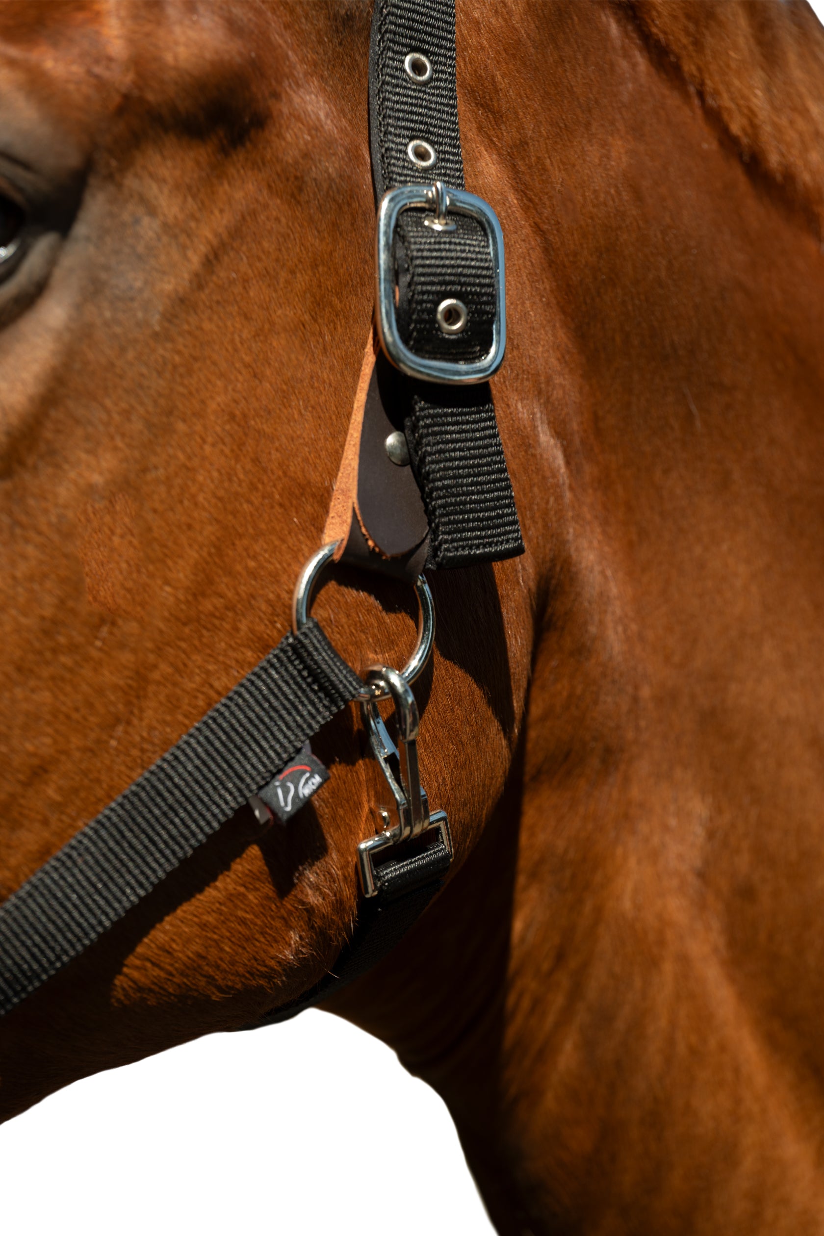 Head collar -Breakaway 2- 9100 black / Full