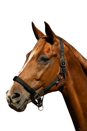 Head collar -Breakaway 2- 9100 black / Full