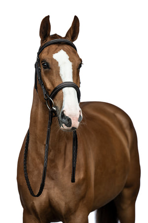 Bridle Hunter 2 2100 dark brown / Pony