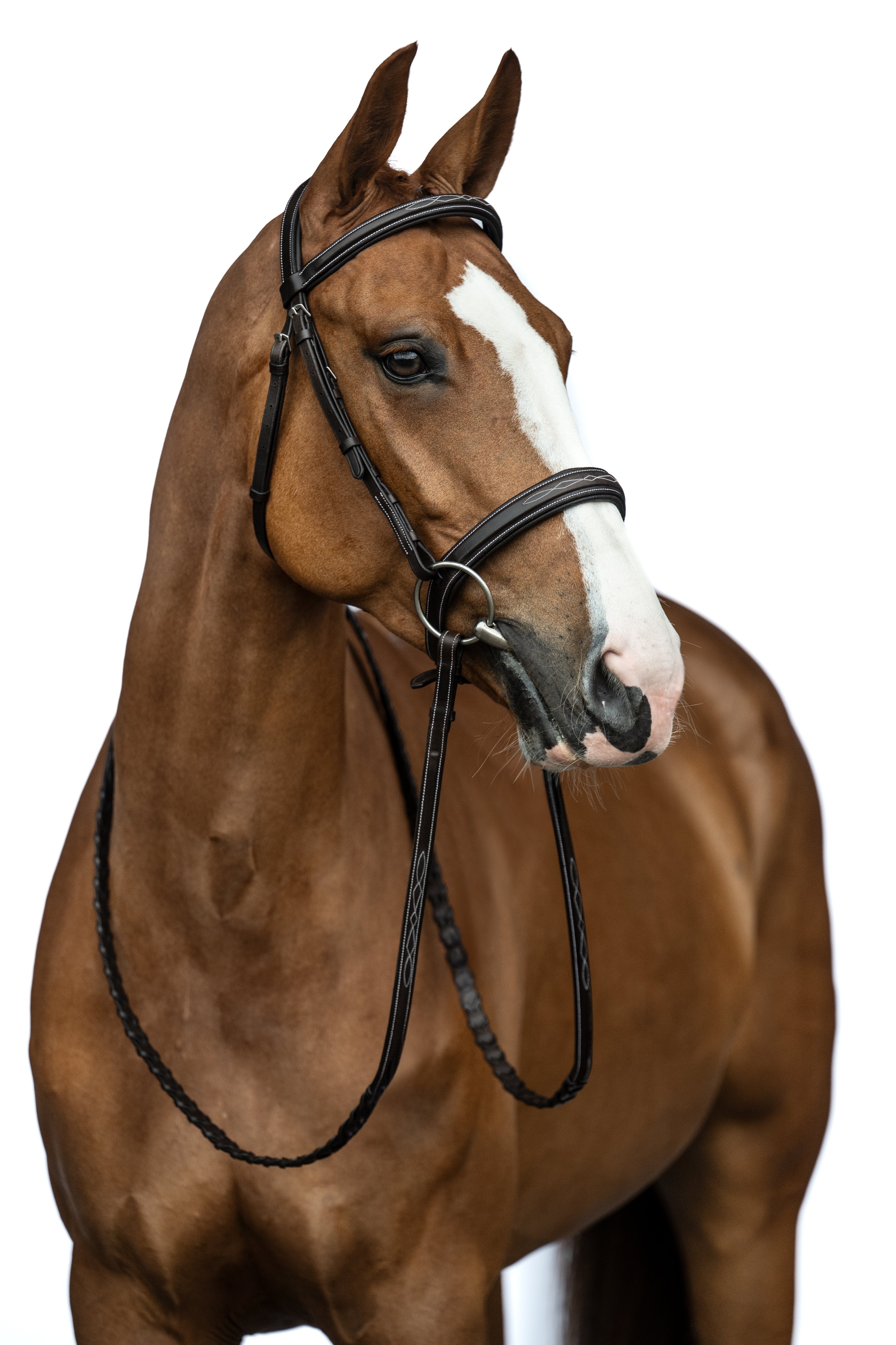 Bridle Hunter 2 2100 dark brown / Pony