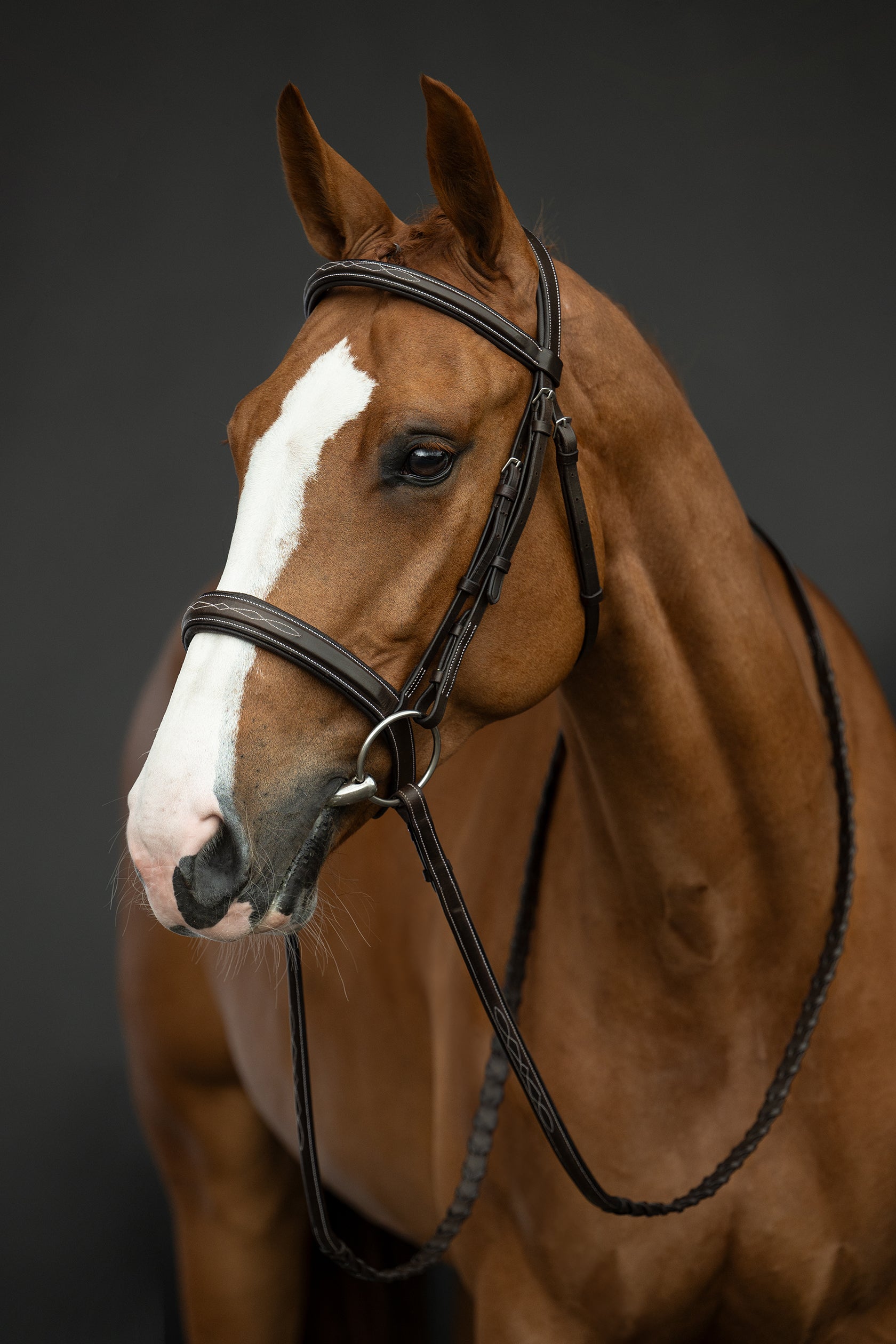 Bridle Hunter 2 2100 dark brown / Pony