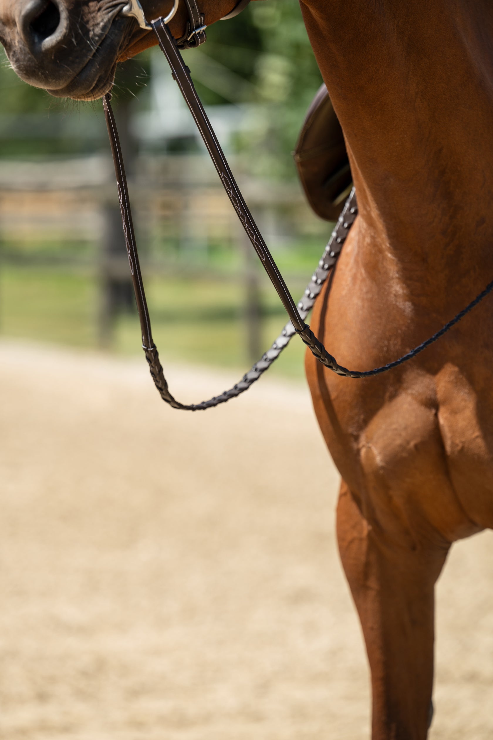 Bridle Hunter 2 2100 dark brown / Pony