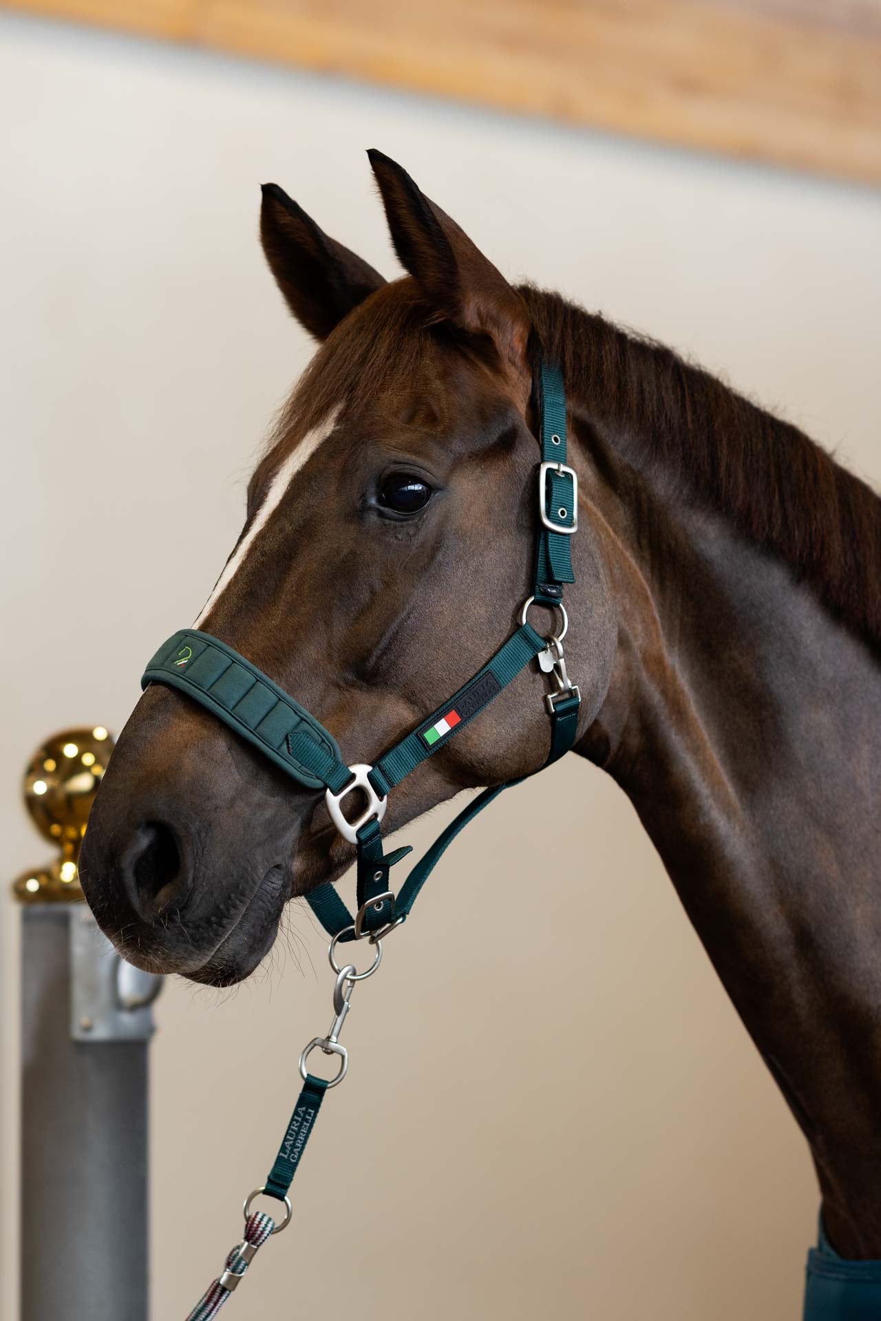 head collar -livigno-