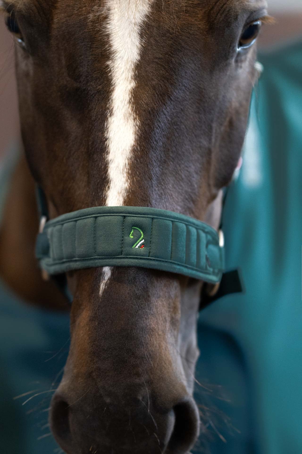 head collar -livigno-