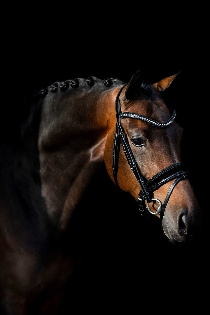 https://www.judi.nl//Files/3/1000/1996/ProductPhotos/1920x1080/1494949096.jpg