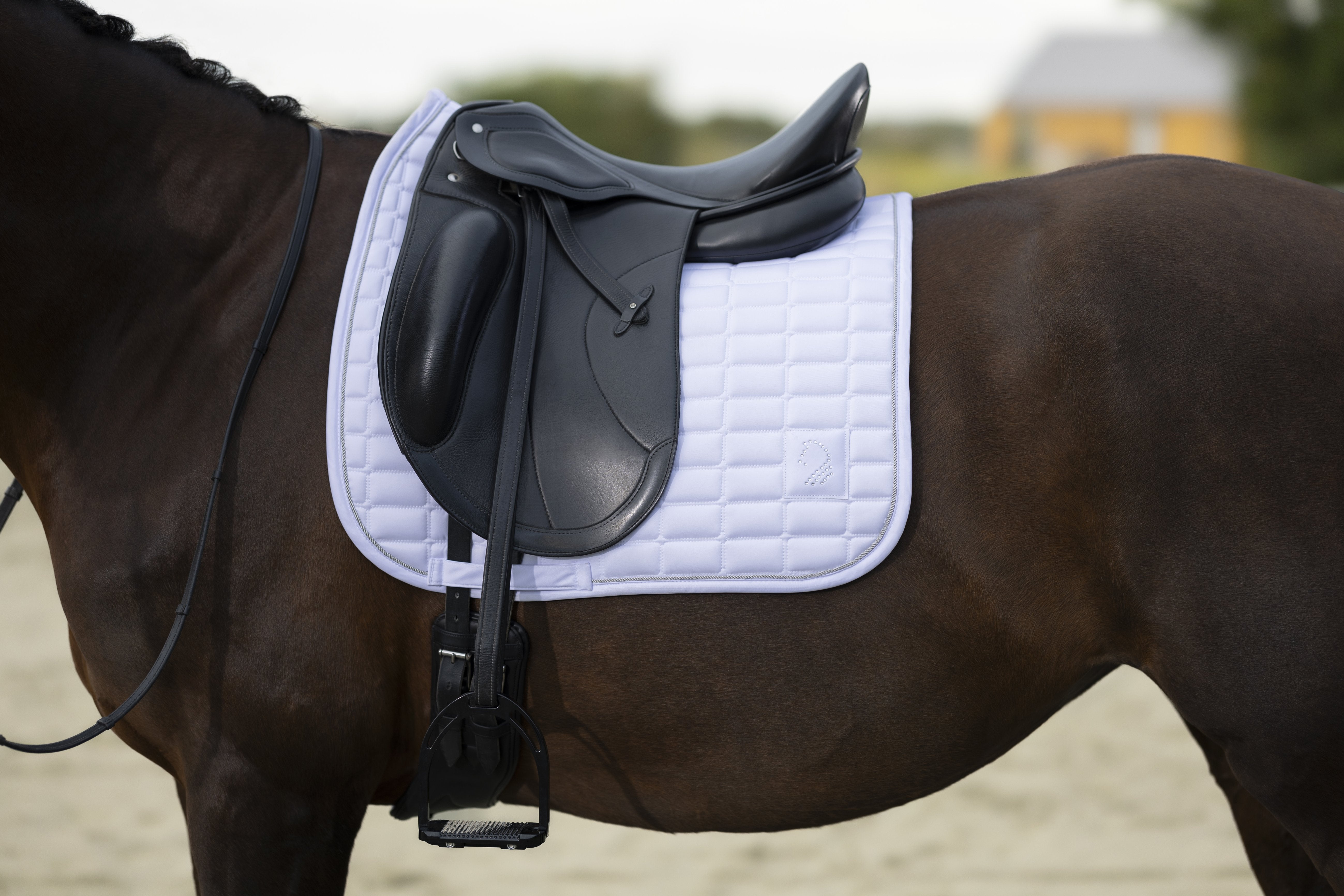 Saddle cloth -Amalfi Competition- 1200 white / Pony dressage