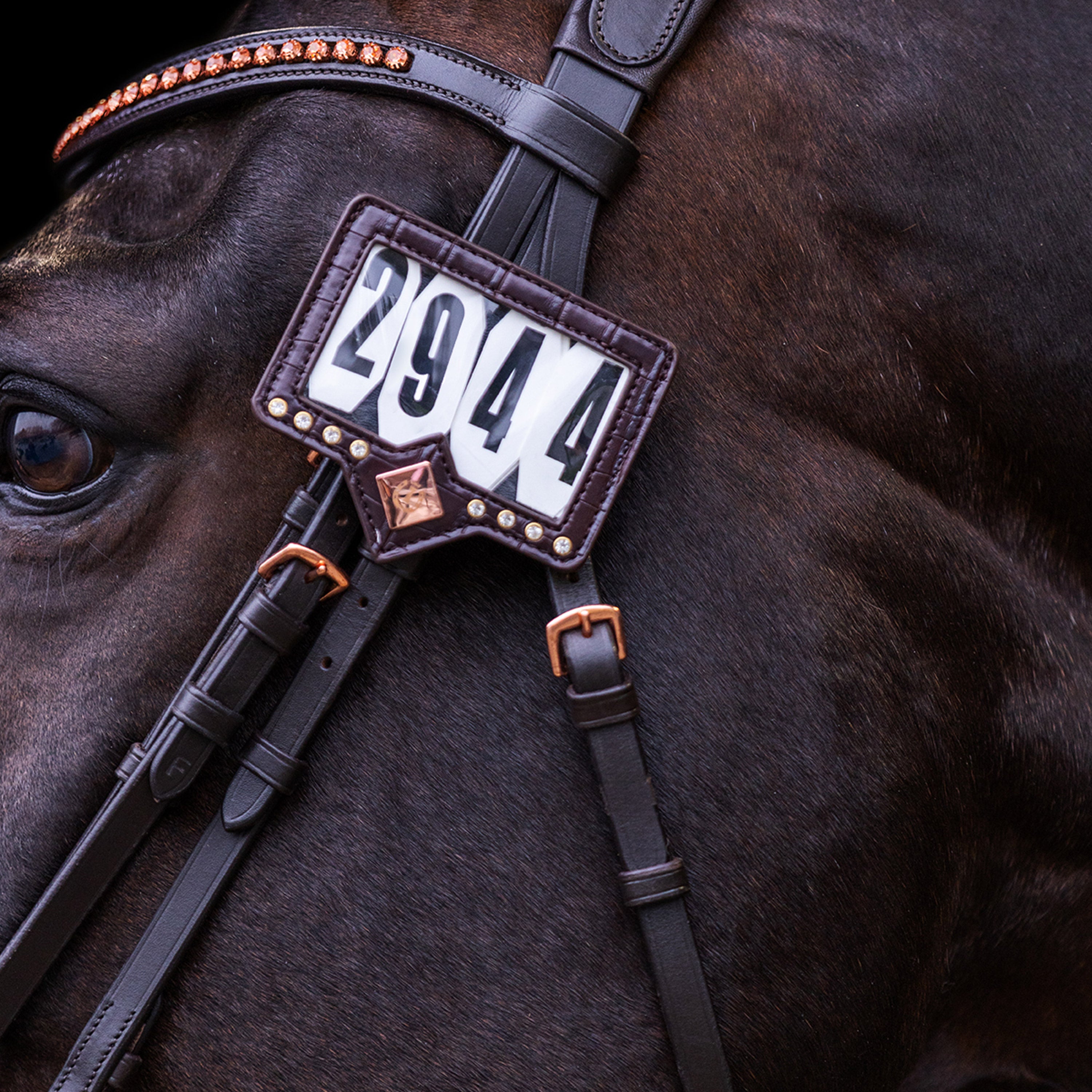 Competition number IRHShow and Glow