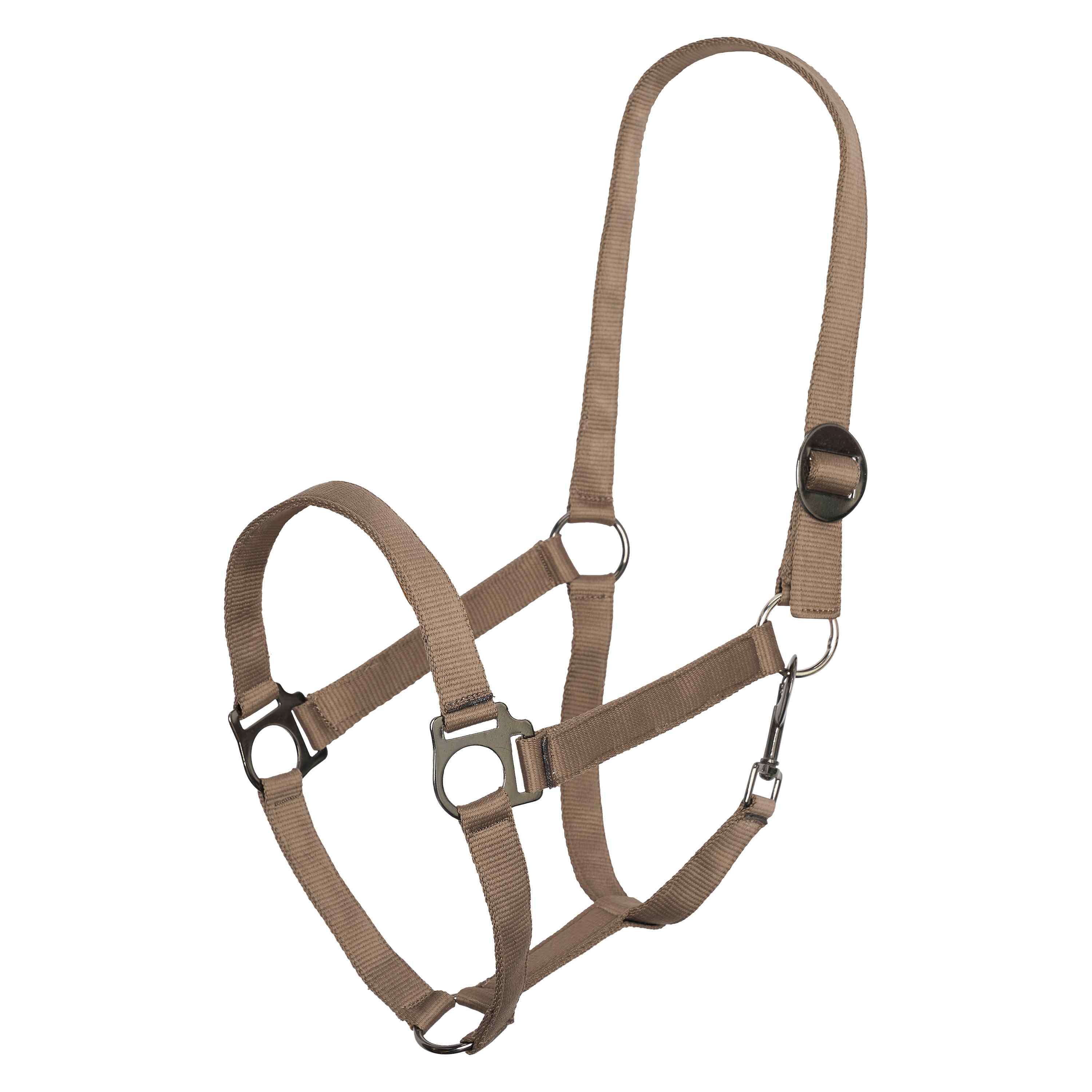 Headcollar IRHEconomic Cappuccino / XF/S
