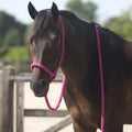 Lead halter
