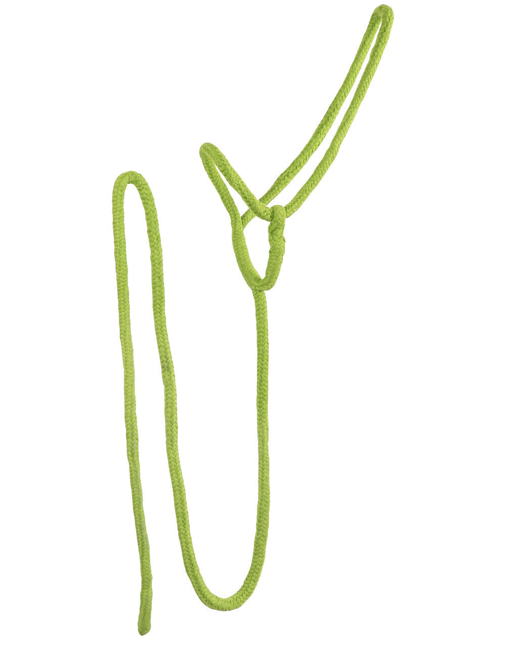 lead halter