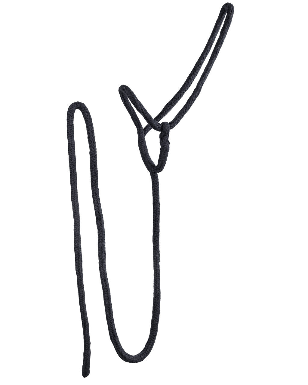 Lead halter