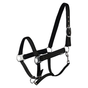 HALTER ELEGANT BLACK / PONY