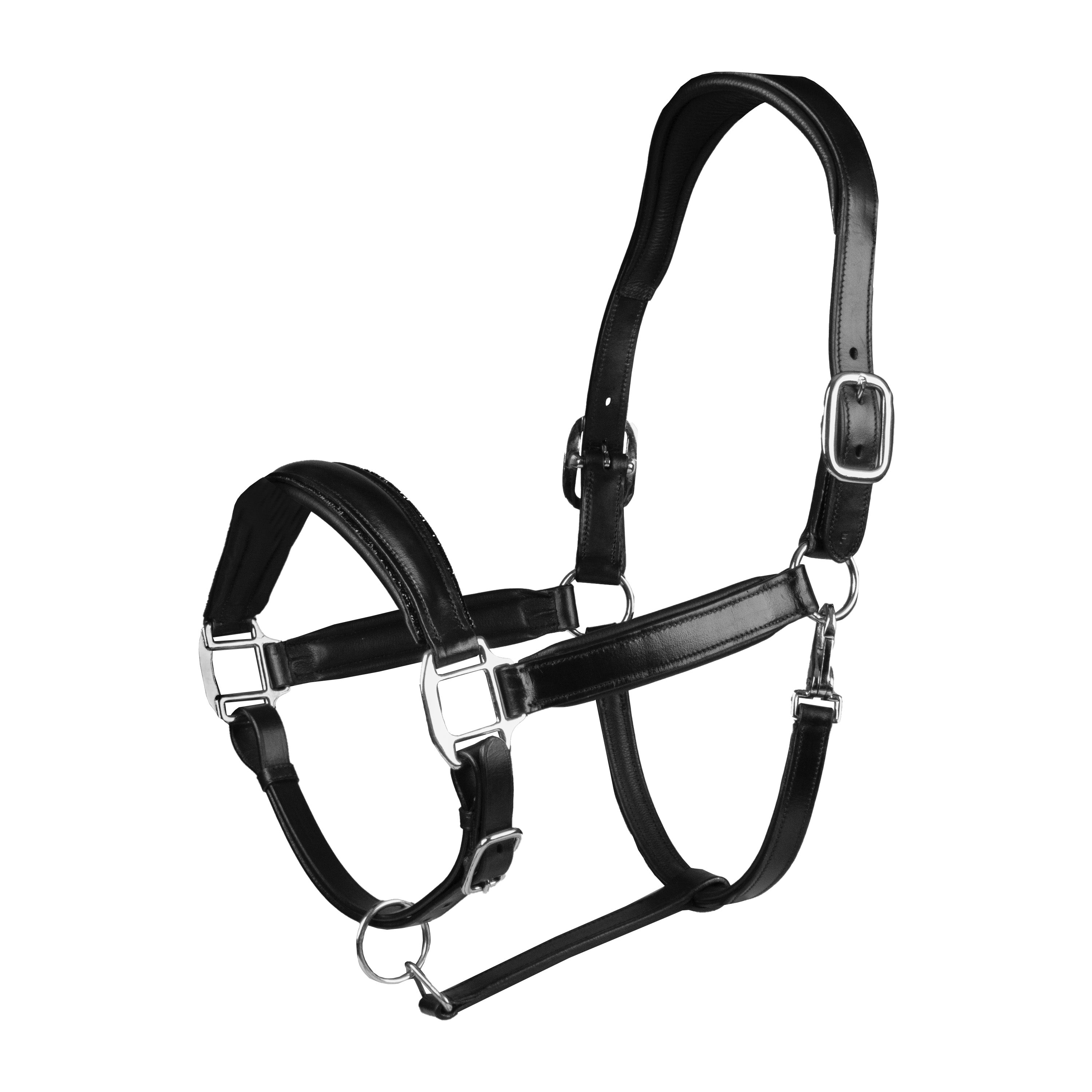 HALTER LEATHER BRILLIANCE BLACK / PONY