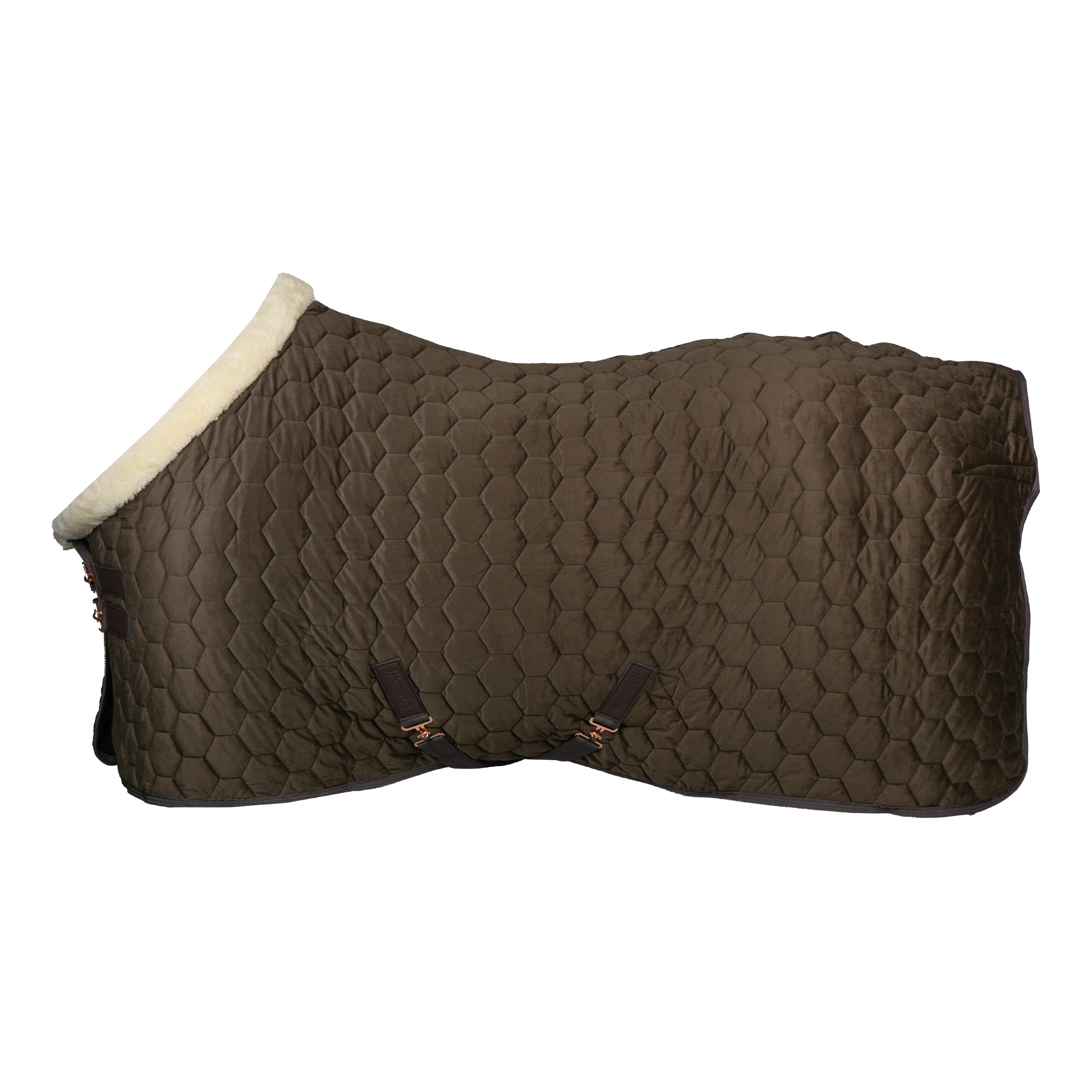 SHOW RUG VELVET ESPRESSO / 115/165