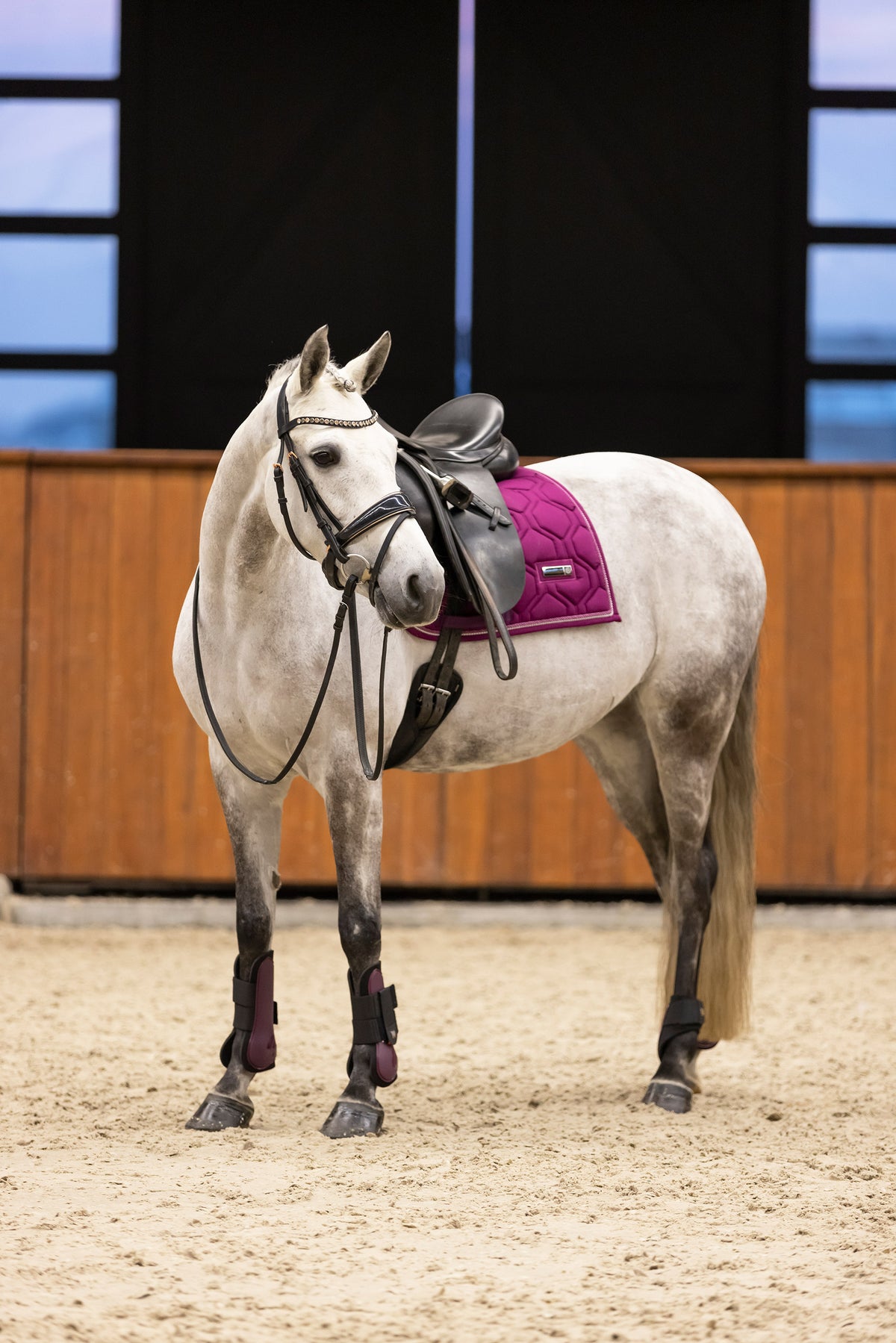 Fetlock boots IRHLovely