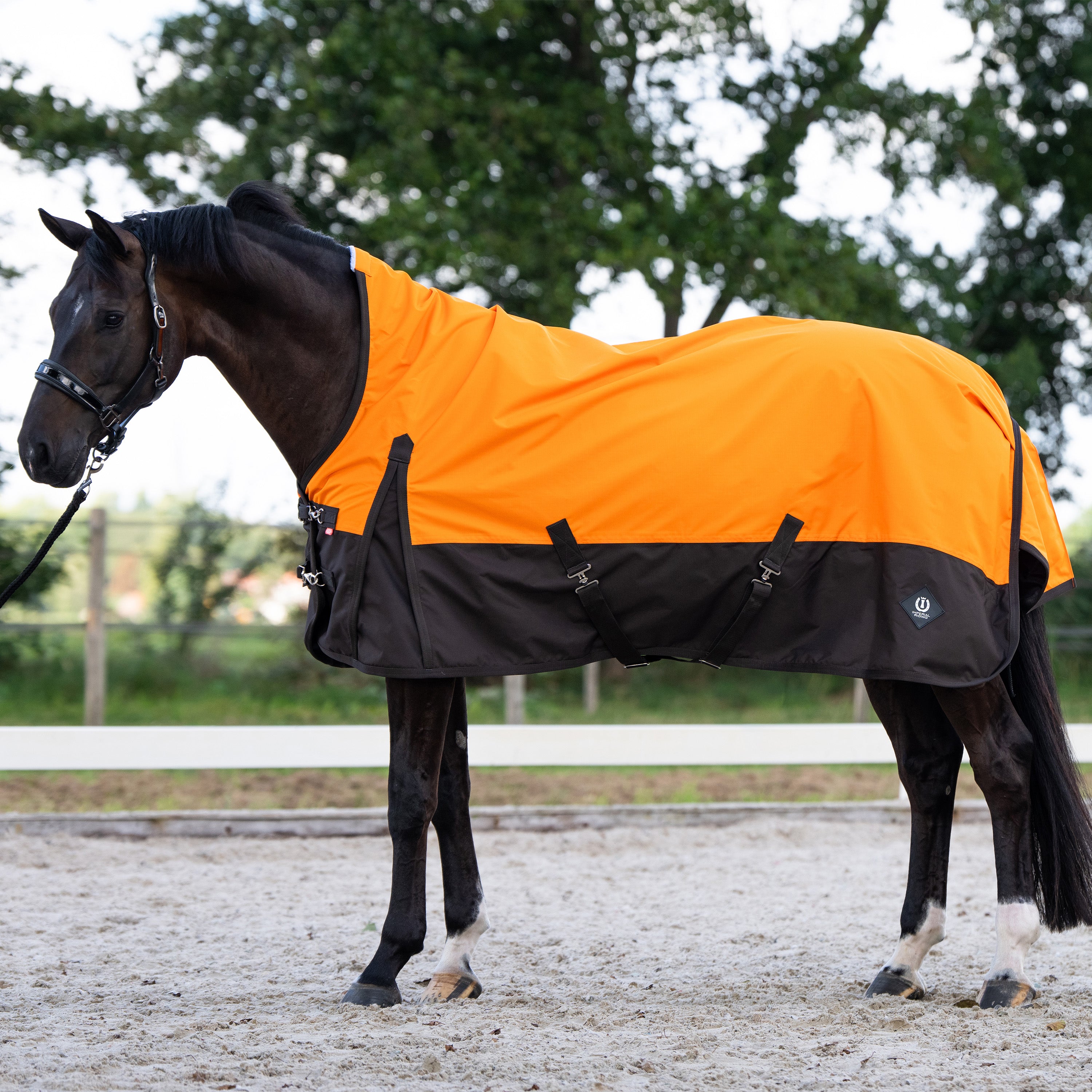 Outdoor blanket IRHCustomized with high neck Fleece