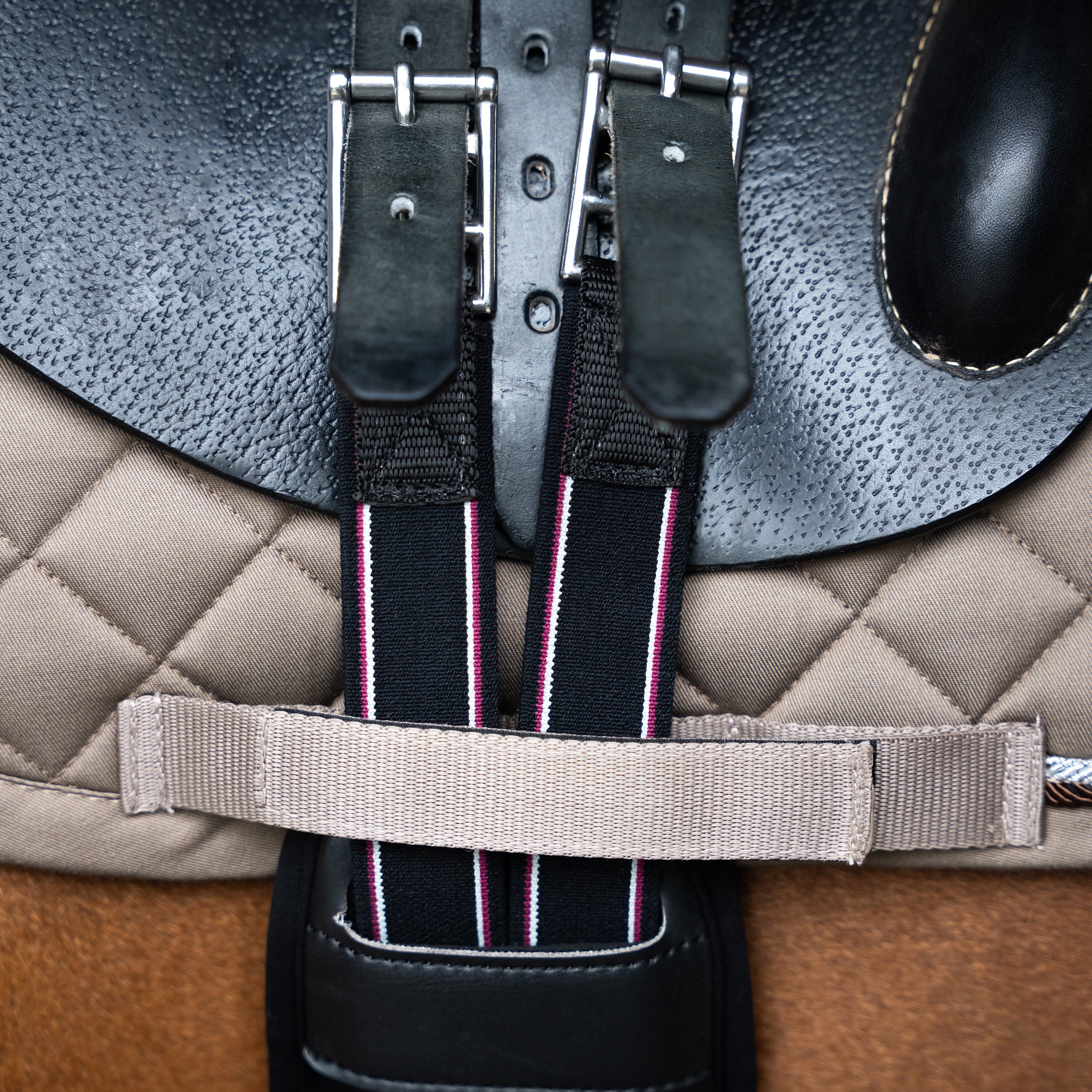 Jumping girth IRHBasic anatomic and neoprene
