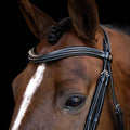Bridle with curved cut English noseband IRH