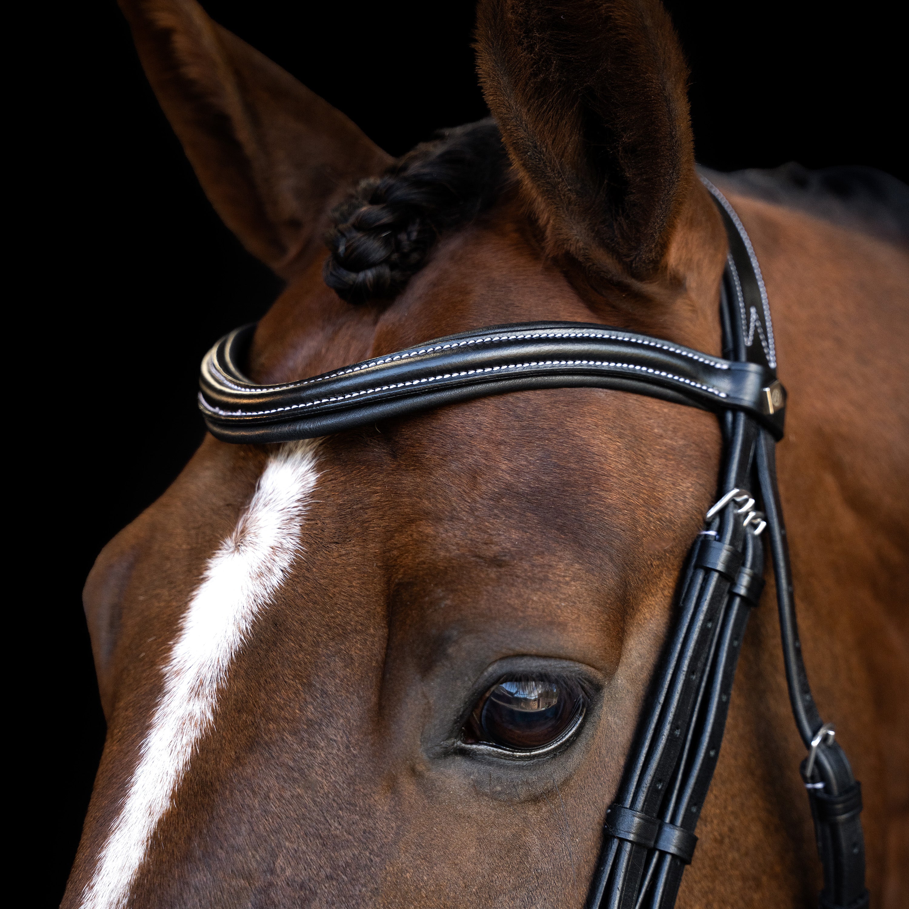 Bridle with curved cut English noseband IRH