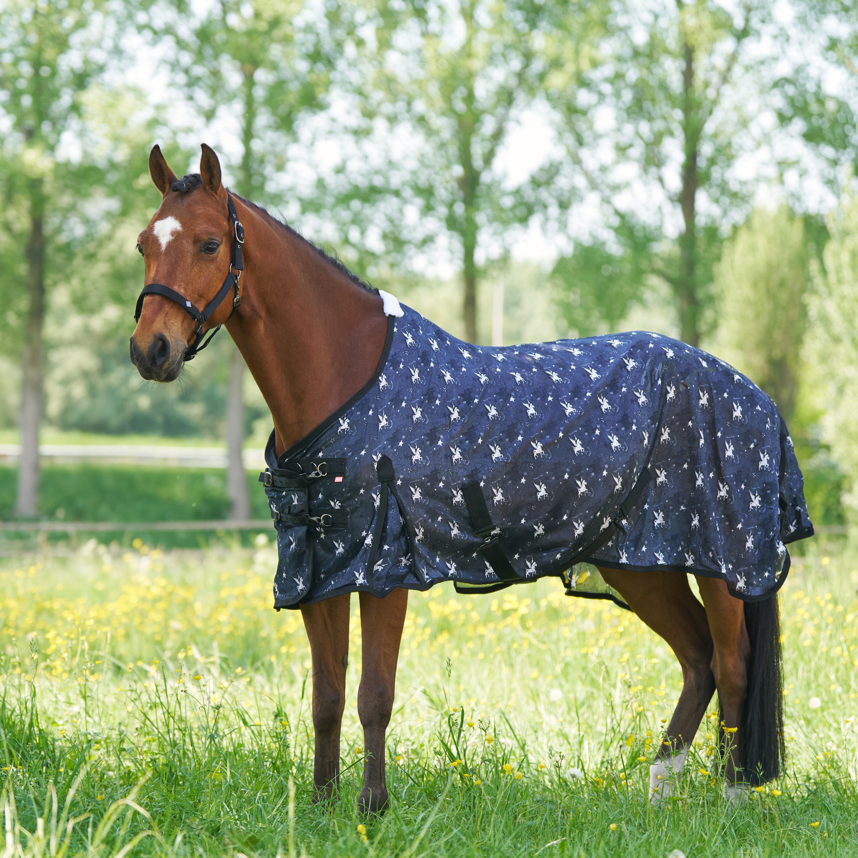 Fly blanket IRHCarlys