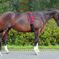 Lunging training system