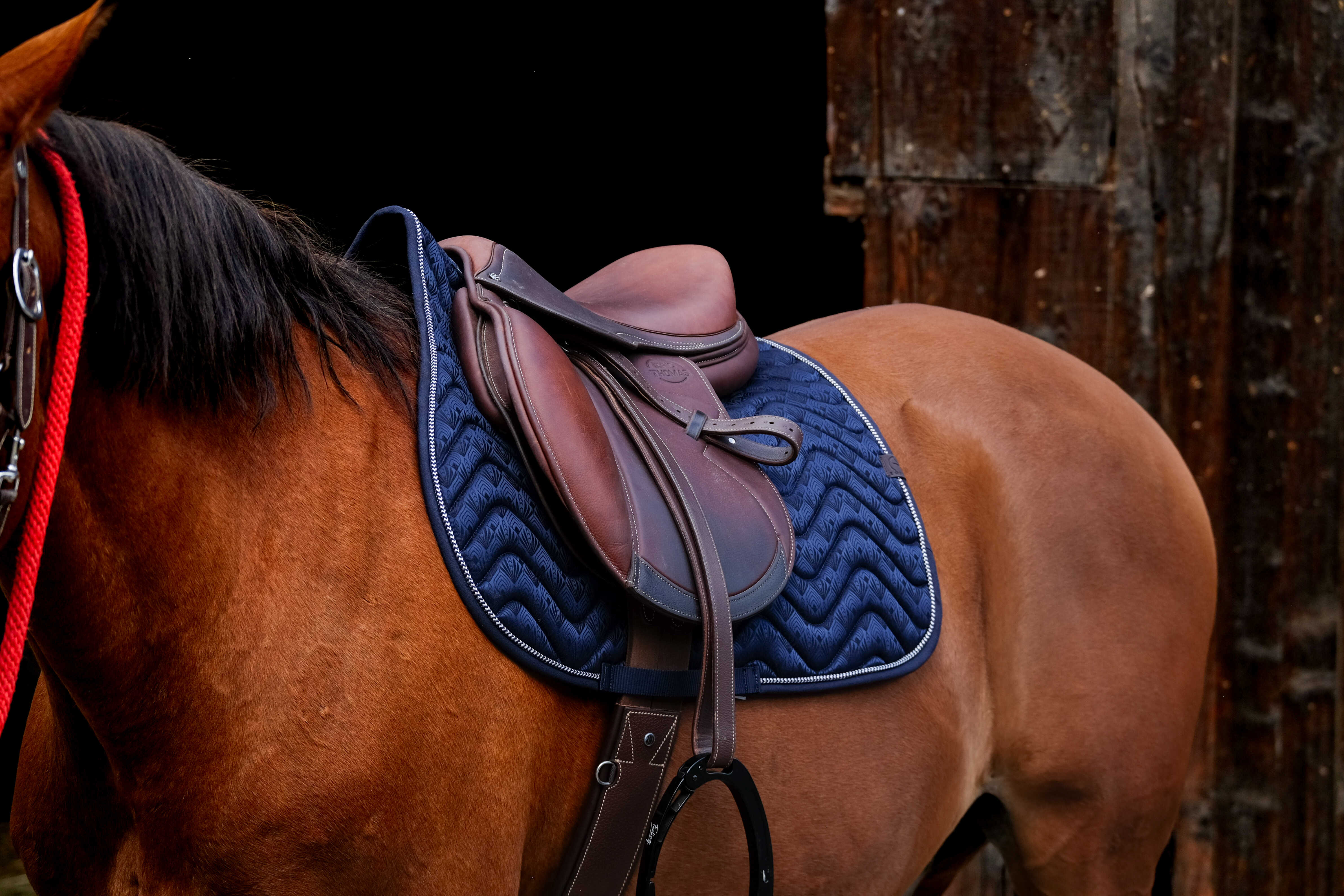 EQUITHÃˆME - Brocart - Saddle Pad